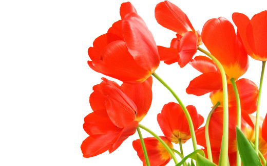 488872 (a): :2560x1600